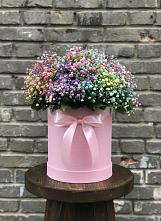 Цветочная композиция из Гипсофила и Розы в шляпной коробке в Карагайлинском