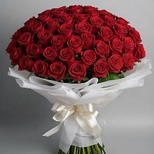 Букет 101 Красная роза Блэк Мэджик в Карагайлинском