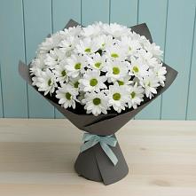 Букет цветов из:  Хризантемы #REPLACE_PRED# Карагайлинском