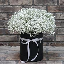 Цветочная композиция из Гипсофила в шляпной коробке в Карагайлинском